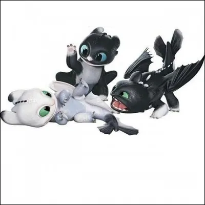 Comment se nomme l'espèce de dragon fusionné entre le Fury Éclair et le Fury Nocturne ?