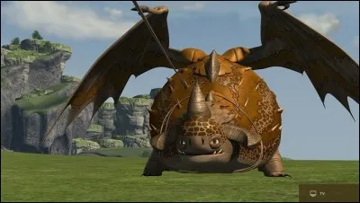 La salive du Dragon Buffleroi guérit de...