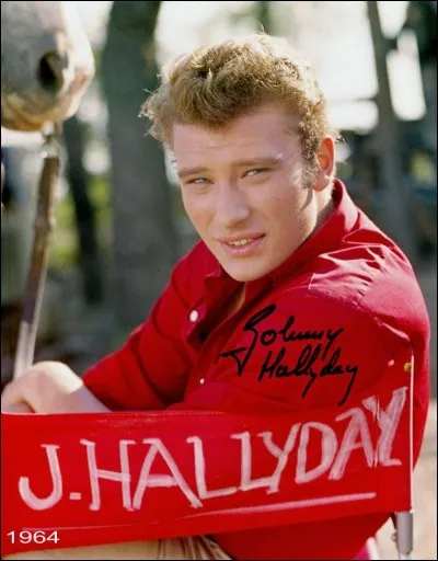 Quel film Johnny a-t-il tourné en Camargue ?