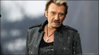 Dans quel film Johnny joue son propre rôle ?