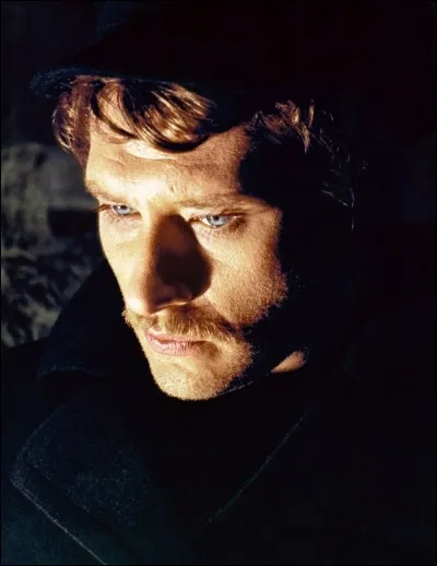 Dans quel western Johnny a-t-il joué ?