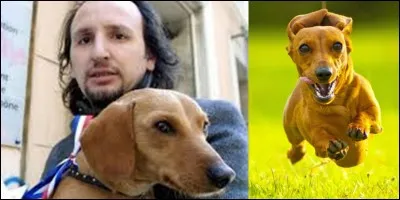 Il a été candidat aux Municipales de 2001 et prônait « Pour une « sauciété » plus humaine, contre une vie de chien » ! Il essaiera de se présenter aux Présidentielles de 2002, mais ne réunira pas les « 500 signatures » exigées ! Un auteur de roman policier, Serge Scotto le « représentera » !
Qui est ce candidat rescapé de combats interdits ?
