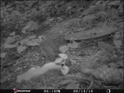 J'espère que vous trouverez cette réponse, même si c'est ... !