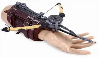 Comment se nomme la lame d'Arno?