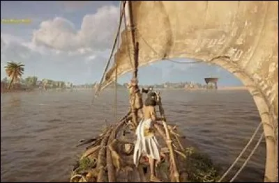 Que peut-on rencontrer dans le Nil ?