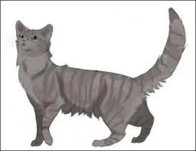 Quel est ton point fort ?