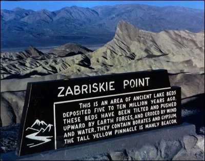 "Zabriskie Point" est un film mis en scène par Michelangelo Antotioni.