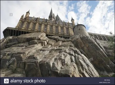 Ta matière préférée à Poudlard est...