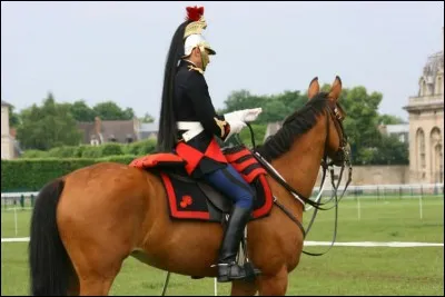 Selon vous, un cavalier se doit d'être...
