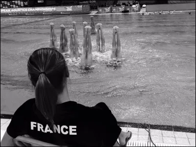 Comment appelle-t-on ce genre de figure ?