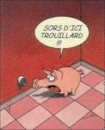 Langue étrangère : 
Comment prononce-t-on "cochon" en allemand ?