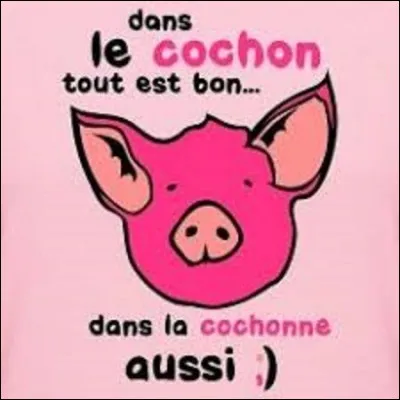 Collection : 
Comment appelle-t-on une personne qui collectionne tout ce qui se rapporte aux cochons ?