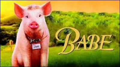 Cinéma : 
Sorti en 1995, ''Babe, le cochon devenu berger'' est un film australo-américain réalisé par Chris Noonan. Connaissant un large succès critique et commercial, il sera nommé sept fois aux Oscars, et en obtiendra un. Lequel ?