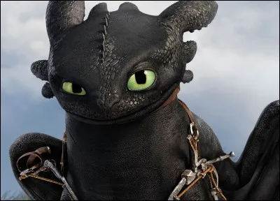 Qui est le plus mignon des dragons ?