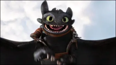 Quel âge a Krokmou dans ''Dragons 2'' ?