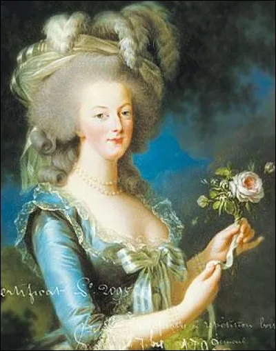 Octobre 1793 : Après l'arrestation de la famille royale à Varennes-en-Argonne, Marie-Antoinette fut touchée par un étrange phénomène auquel on a donné son prénom en l'appelant ''syndrome de Marie-Antoinette''. En quoi consiste-t-il ?