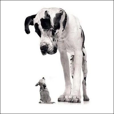 Quelle est ta taille ?