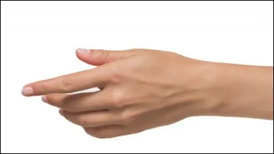 Que penses-tu des humains ?