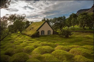« Hofskirkja » est l'une des 6 églises encore en activité sur cette île : on l'a édifiée entre la montagne et la mer. La technique est unique : les murs sont faits de pierres assemblées et de tourbe, et le toit est construit à l'aide de dalles de pierre recouvertes de gazon.
Où trouve-t-on la surprenante église de Hof, construite en 1884 et dédiée à Saint-Clément ?