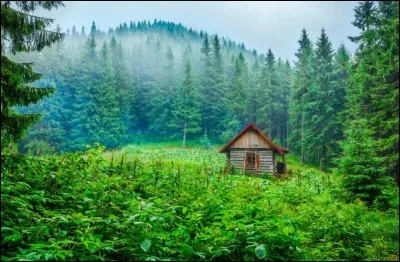 Dans ce pays d'Europe de l'Est, il existe de nombreuses forêts où construire sa maison avec l'intention d'être loin de la civilisation, est un projet facilement réalisable. Dans les Carpates, se cache aussi ce joli petit paradis pour les randonneurs. Cette photo a été prise par le Hongrois Fesus Robert.
Dans quel pays se situe ce mignon petit campement ?
