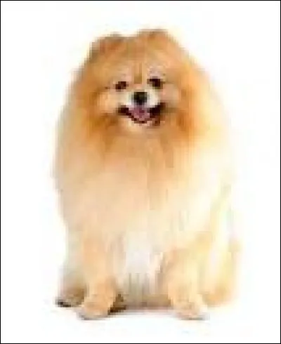 Un de ces films n'est pas de François Ozon : lequel ?