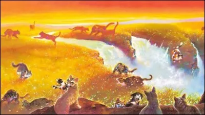 Quel sera le prochain chef ?