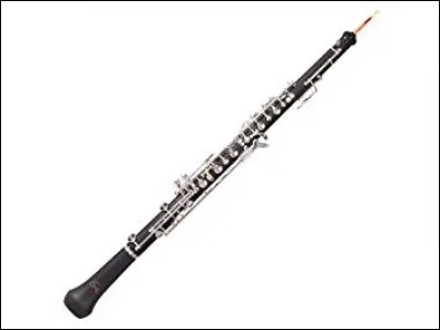 Quel est cet instrument ?