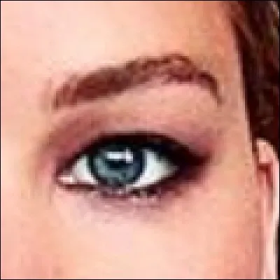 A qui appartient cet il ?