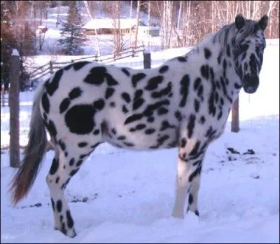 Quelle est cette robe ?