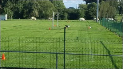 Quelle est la largeur d'un terrain de football ?