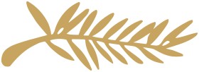 Quiz Festival de cannes