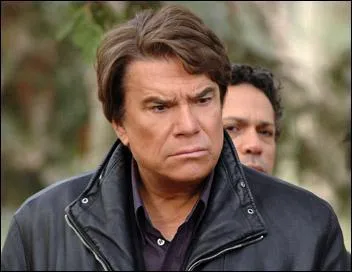 De quelle série provient cette image ?