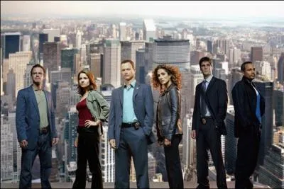 De quelle série provient cette image ?