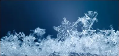 Combien de "bras" la plupart des flocons de neige ont-ils ?