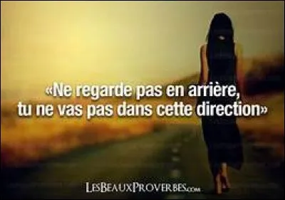 Comment appelle-t-on l'espace dynamique (hautes technologies, agriculture, tourisme ...) de la Floride, du Texas et de la Californie ?