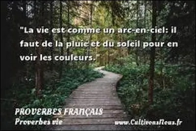 Quels sont les trois plus grands ports du monde ?