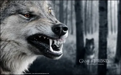 Quels sont les noms des loups de la famille Stark ?