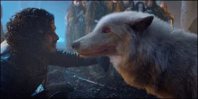 Quel loup est associé à Jon Snow ?