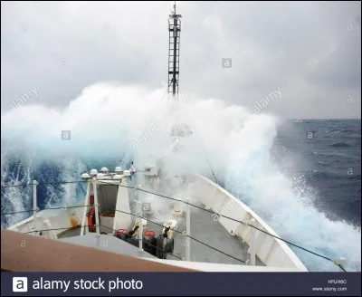 Quels poissons viennent se reproduire dans la mer des Sargasses ?