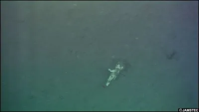 Quelle fosse de l'océan Pacifique est la plus "profonde" du globe ?