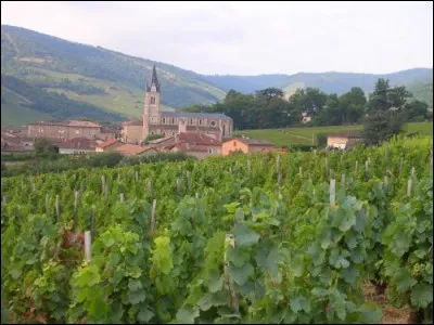 Le Beaujolais se situe dans quelle région ?