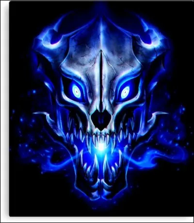 À qui appartient cette arme ?