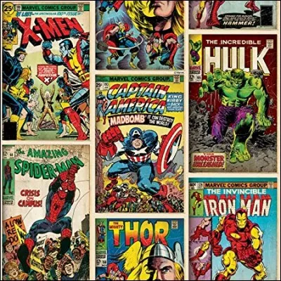 Quel personnage des comics voit-on pendant une petite seconde lors de la bataille finale ?