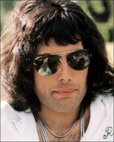 En quelle année l'album solo de Freddie Mercury "Mr Bad Guy" est-il sorti ?