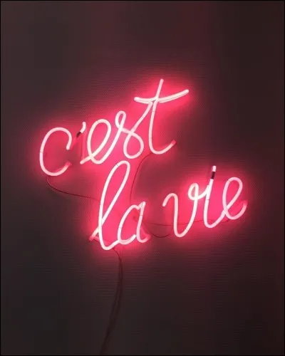 Comment vois-tu la vie ?