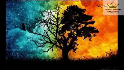 Dans quelle &eacute;cole est Sophie ?