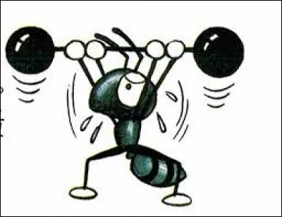 Et pour finir, à combien de pourcentage penses-tu être fort(e) ?