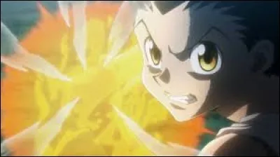 Où Gon a-t-il perfectionné sa technique chi-fou-mi ?