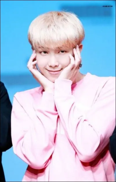 Quel rappeur du groupe a un rap agressif et fluide aussi bien qu'il peut être doux et lent ?