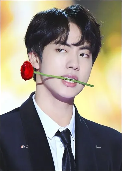 Qui est le Worldwide handsome du groupe ?